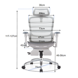  Ghế Công Thái Học Manson Foris, Màu Xám, Không gác chân | Đỡ Lưng Bionic Spine, Ngả Sâu 147 Độ, Tay 5D 