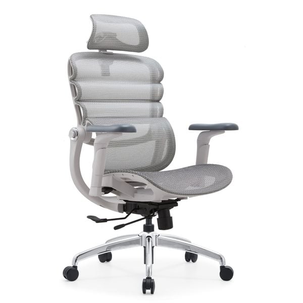  Ghế Công Thái Học Manson Foris, Màu Xám, Không gác chân | Đỡ Lưng Bionic Spine, Ngả Sâu 147 Độ, Tay 5D 