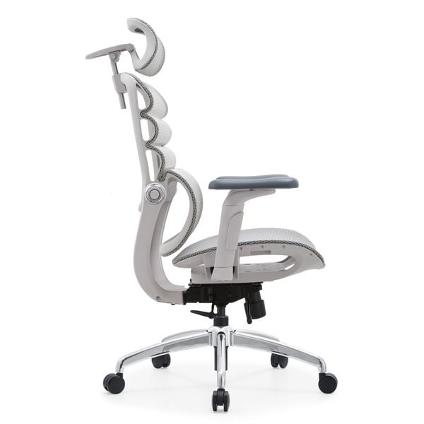  Ghế Công Thái Học Manson Foris, Màu Xám, Không gác chân | Đỡ Lưng Bionic Spine, Ngả Sâu 147 Độ, Tay 5D 