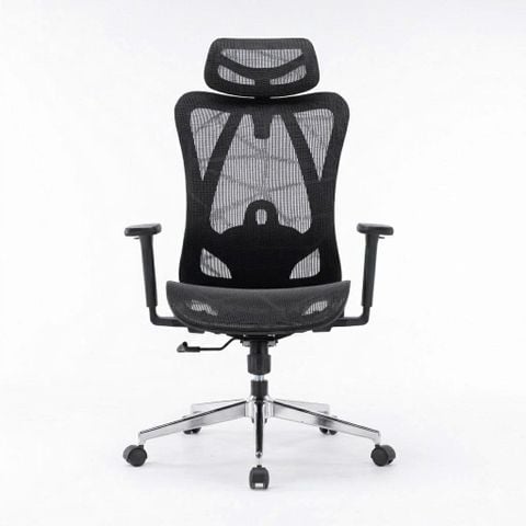 Ghế công thái học E DRA EEC225 | Đen, 150kg, Chân xoay, Lưng lưới