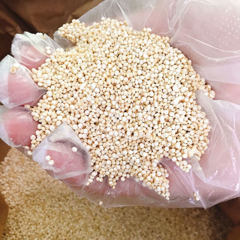 Hạt diêm mạch trắng hữu cơ sỉ bao 25kg