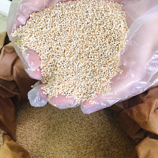 Hạt diêm mạch trắng hữu cơ sỉ bao 25kg