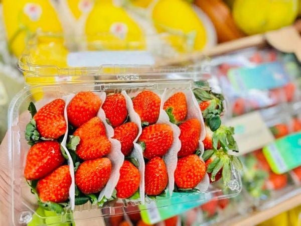 Dâu tây Hàn Quốc Joyfarm hộp 330g