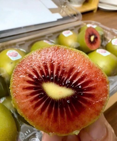 Kiwi đỏ Newzealand 1KG