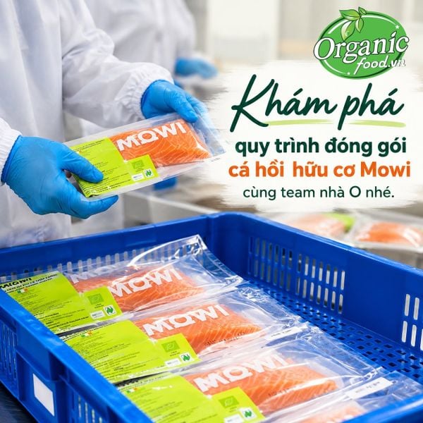 Cá hồi hữu cơ phi lê đông lạnh Mowi 180g