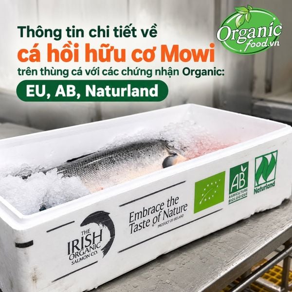 Cá hồi hữu cơ phi lê đông lạnh Mowi 180g
