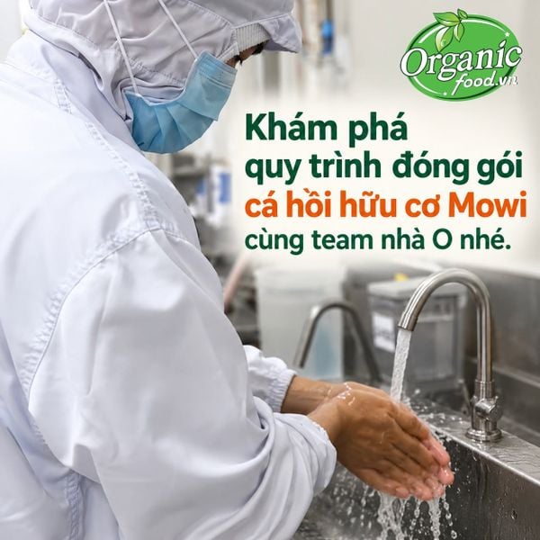 Cá hồi hữu cơ phi lê đông lạnh Mowi 180g