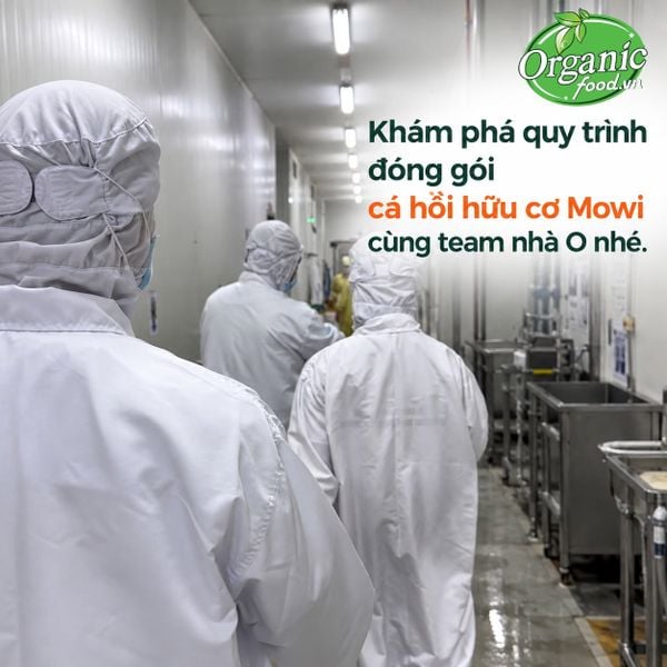 Cá hồi hữu cơ phi lê đông lạnh Mowi 180g