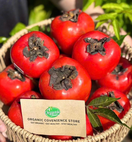 Hồng Vuông Tám Hải 1kg