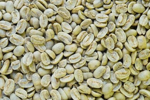 Cà phê nhân xanh hữu cơ Arabica bao 30kg ( USDA/EU Organic)