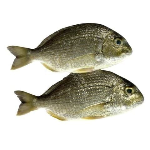 Cá hanh nước lợ 450-550gram
