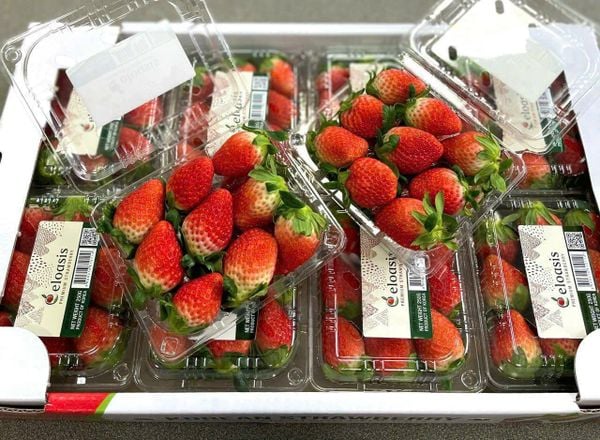 Dâu tây Hàn Quốc Hộp 250gram