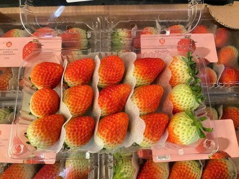 Dâu tây Hàn Quốc hộp 330g