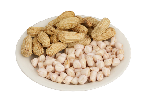 Đậu phộng tươi hữu cơ 500g
