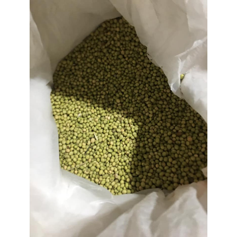 Hạt đậu xanh hữu cơ sỉ bao 25kg