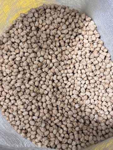 Hạt đậu gà hữu cơ sỉ bao 25kg