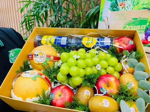 Hộp quà trái cây 01