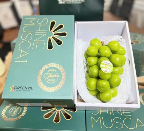 Hộp quà trái cây 03 - Hộp nho mẫu đơn Hàn Quốc cao cấp