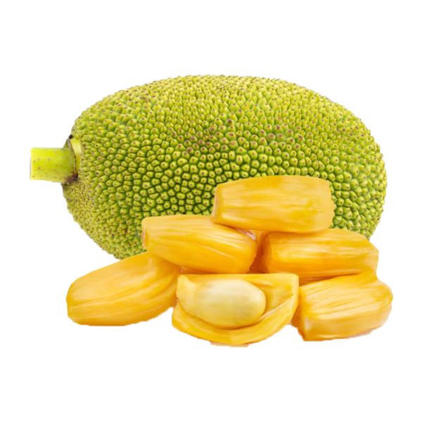 Mít tố nữ canh tác tự nhiên Phú Yên 1kg