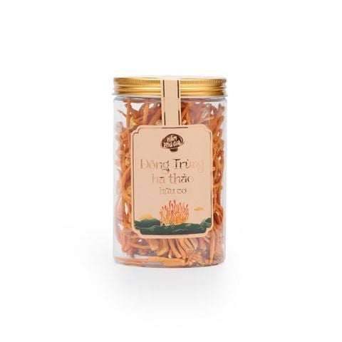 Nấm Đông Trùng Hạ Thảo | Hữu cơ | sấy thăng hoa | 10g