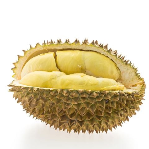 Sầu riêng Ri6 chín rụng