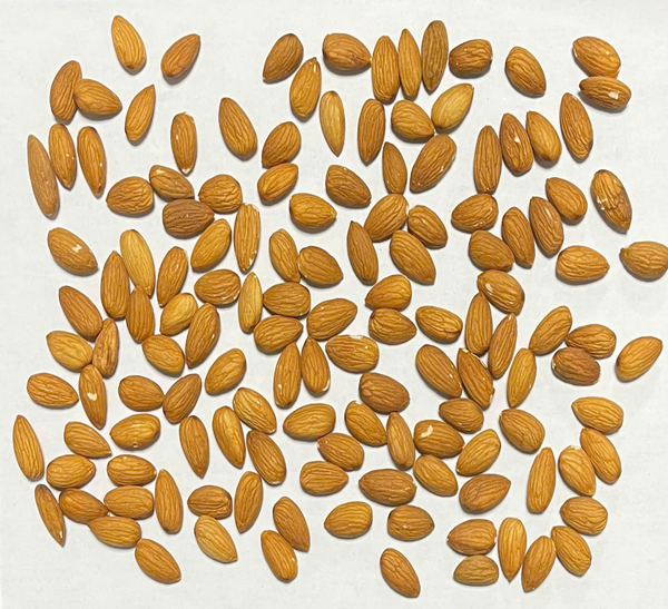 Hạt hạnh nhân hữu cơ Mỹ Size 27/30 Sỉ Giá 1kg (Thùng 22.68kg)