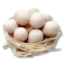 Trứng Gà Ta nuôi thả hữu cơ Qus Farm hộp 10 trứng