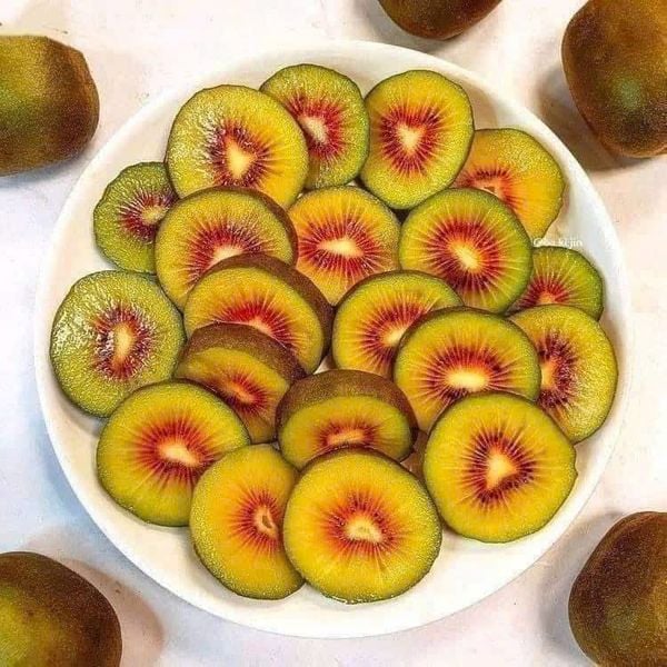Kiwi đỏ Newzealand 1KG