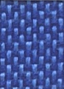variant