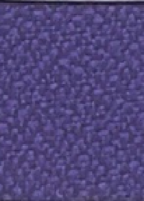 variant