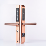 Khoá Cửa Đi IVK-200