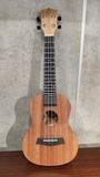  PHOENIX Ukulele UK-23S Concert 