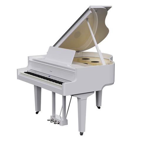  ROLAND GP-9M-PW (GP9M)