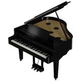  ROLAND GP-9M-PE (GP9M) 