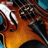  PHOENIX Violin VZ101E size 4/4 