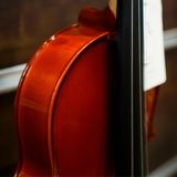  PHOENIX VIOLIN MVP101H SIZE 3/4 