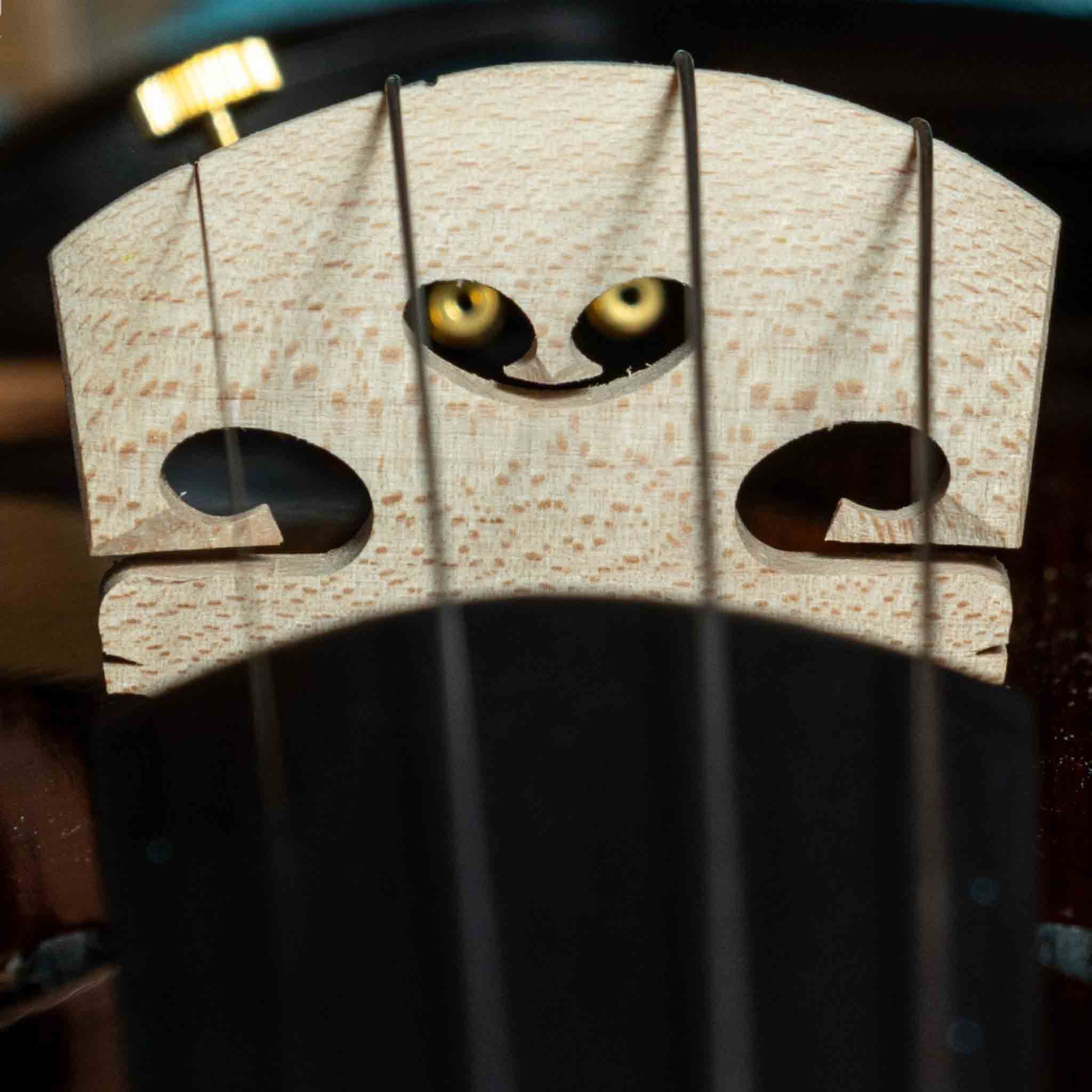  PHOENIX Violin VZ101E size 4/4