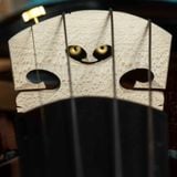  PHOENIX Violin VZ101E size 4/4 