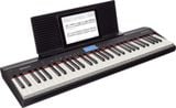  ROLAND GO-61P (Hàng trưng bán) 