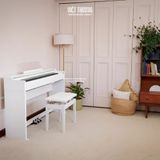  CASIO AP-S200 màu đen 