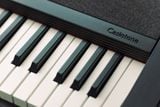  Đàn organ Casio CTS1 màu đen (CT-S1) 