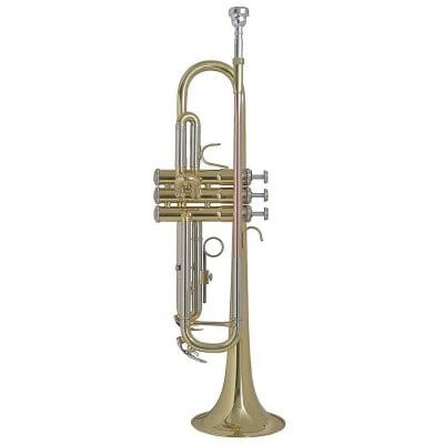  SELMER TR655 Kèn 