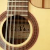  CORDOBA C5-CE SP W/B 99-751-0210 GUITAR NYLON CLASSIC 