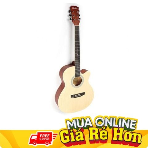  DEVISER ĐÀN GUITAR DÂY SẮT MÀU NAT C10N40NAT 