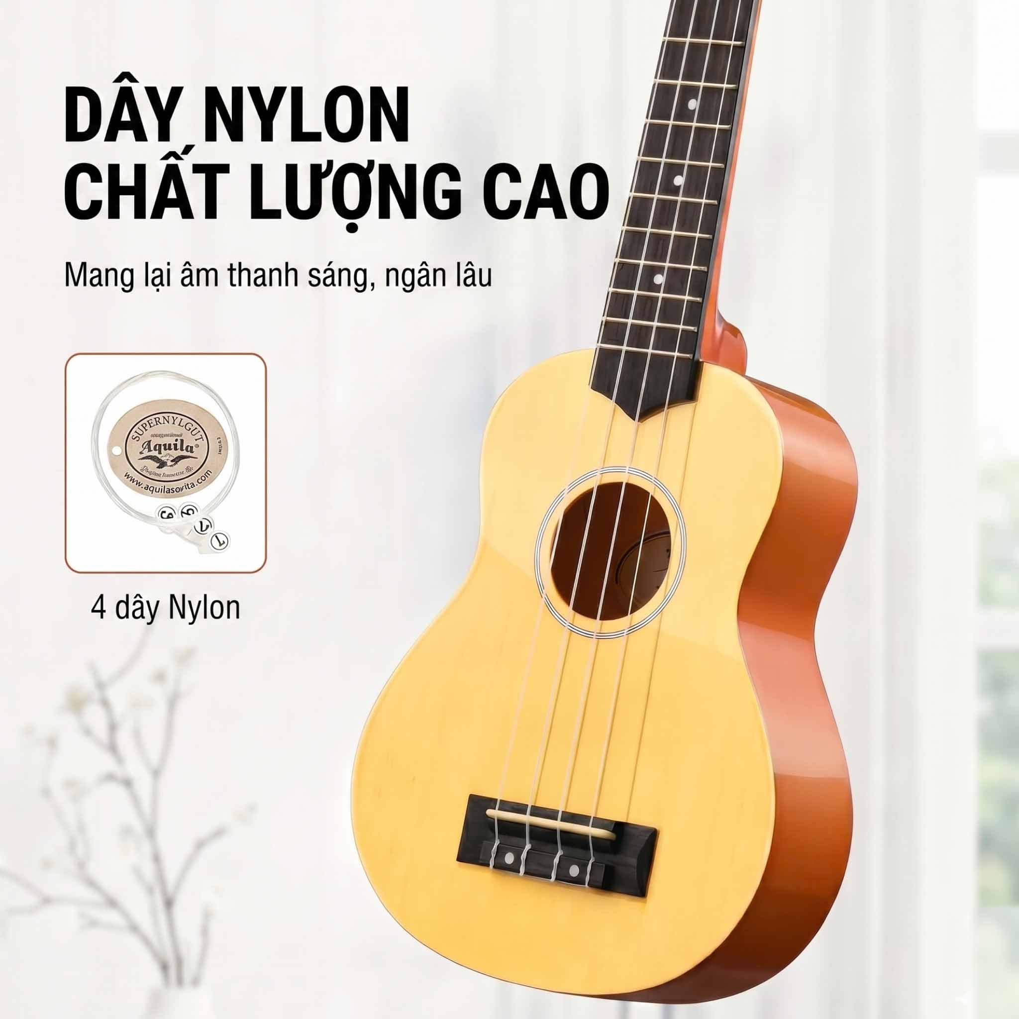  Đàn Ukulele Donner DUS-10 Rainbow Series Soprano