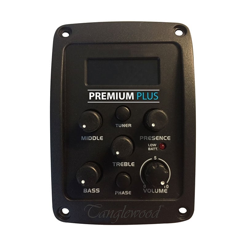  Đàn guitar acoustic Tanglewood TWBB-SDE (Hàng trưng bán)