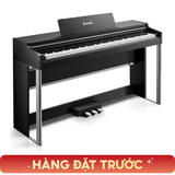  Đàn piano điện DONNER DDP-200 Pro 