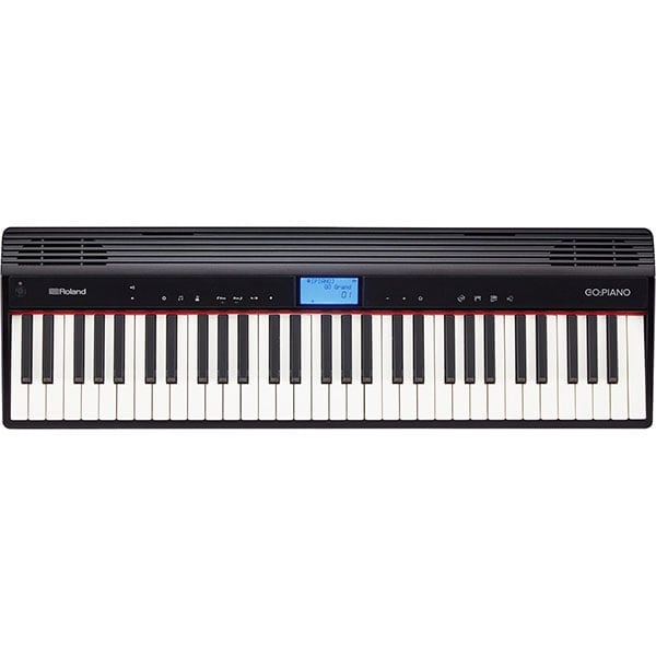  ROLAND GO-61P