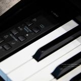  Đàn piano điện KAWAI CX202 màu đen 