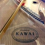  KAWAI GL-50-M/PEP 
